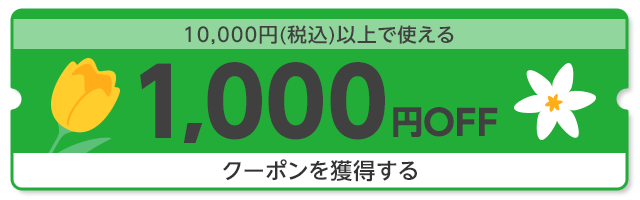 10,000円（税込）以上で使える1,000円OFF