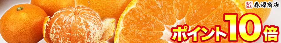 【森源商店】全国選りすぐりの美味しいみかん・柑橘他ポイント10倍！