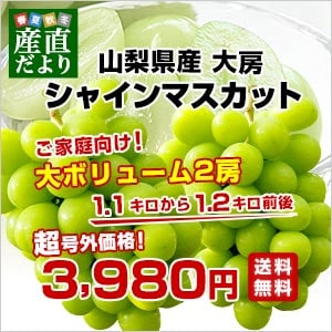 産直だより