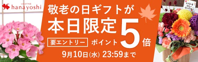 敬老の日ギフトが本日限定ポイント5倍