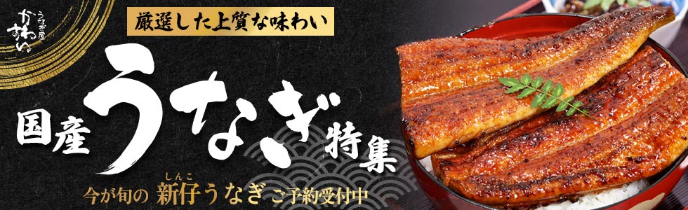 うなぎ屋かわすい