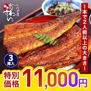 うなぎ屋かわすい
