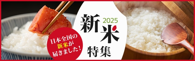 新米特集