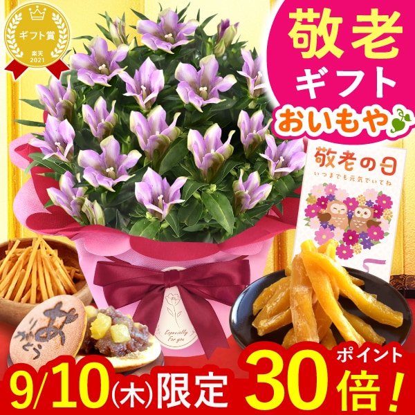 鉢植えギフト干し芋和菓子セット