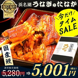 浜名湖 うなぎのたなか