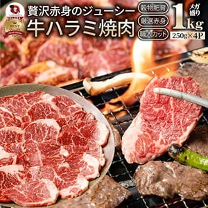 【霜降り赤身の牛ハラミ焼肉1kg】なんと3,999円