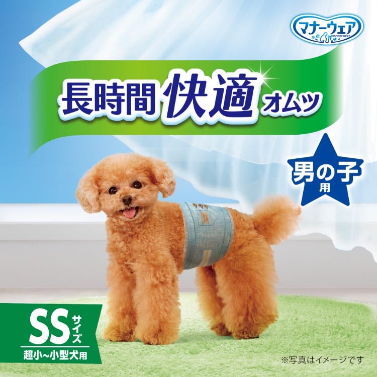 dショッピング |マナーウェア長時間オムツ男の子用ＳＳ 犬用 おむつ