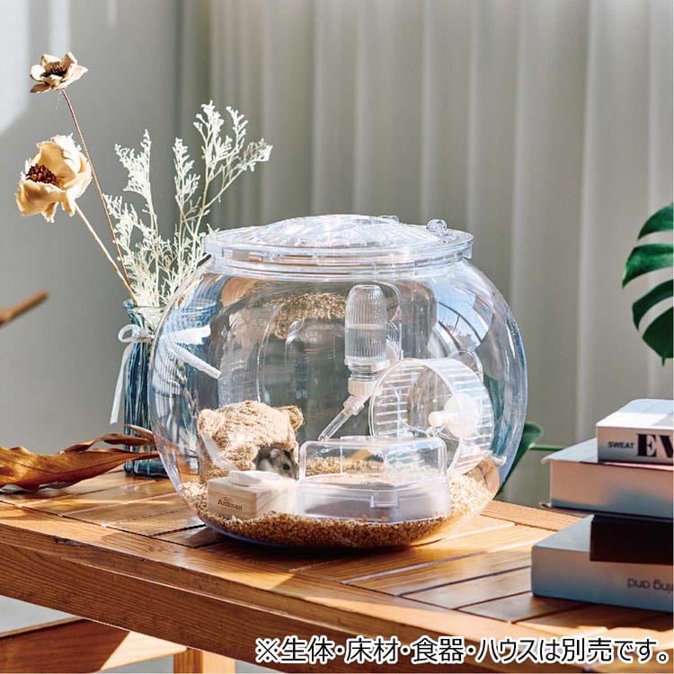 dショッピング |ハムリウム ハムスターの飼育セット （1個