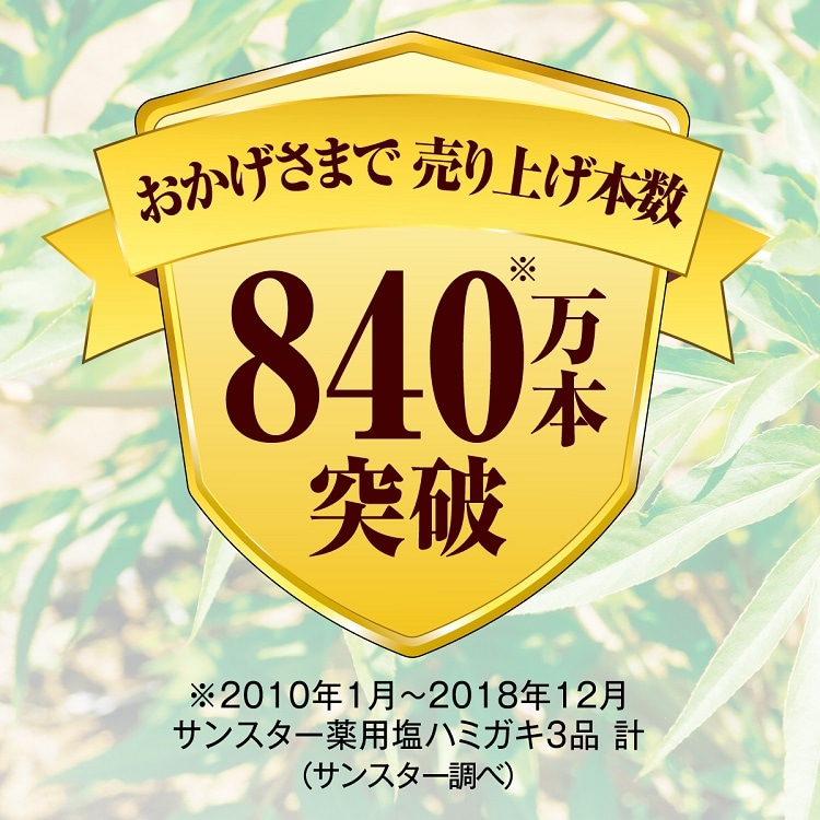 最上の品質な サンスター 薬用塩ハミガキ 85g 当帰の力で