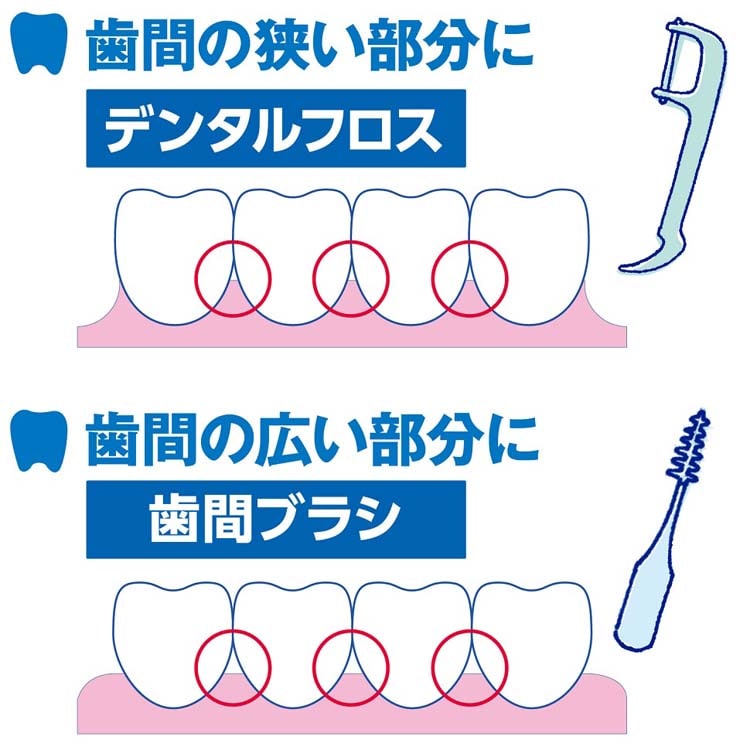 dショッピング |小林製薬の糸ようじ スルッと入るタイプ （６０本入