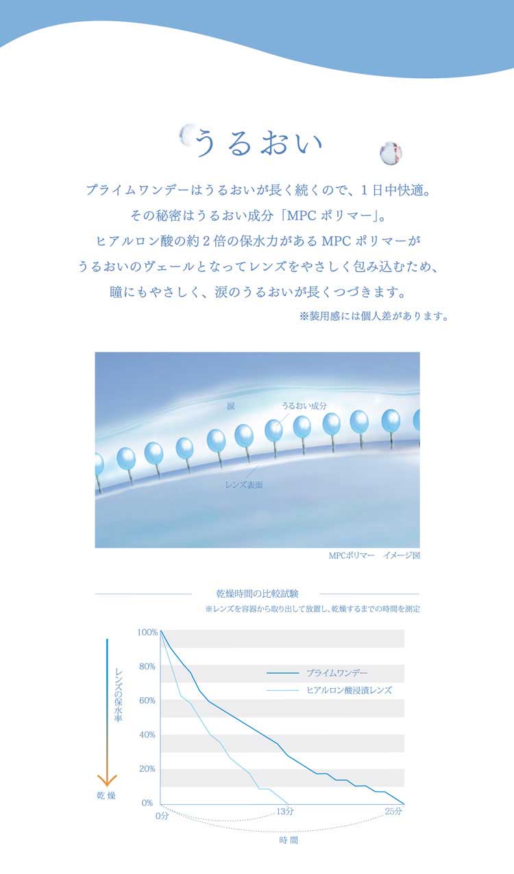 プライムワンデー100枚商品説明