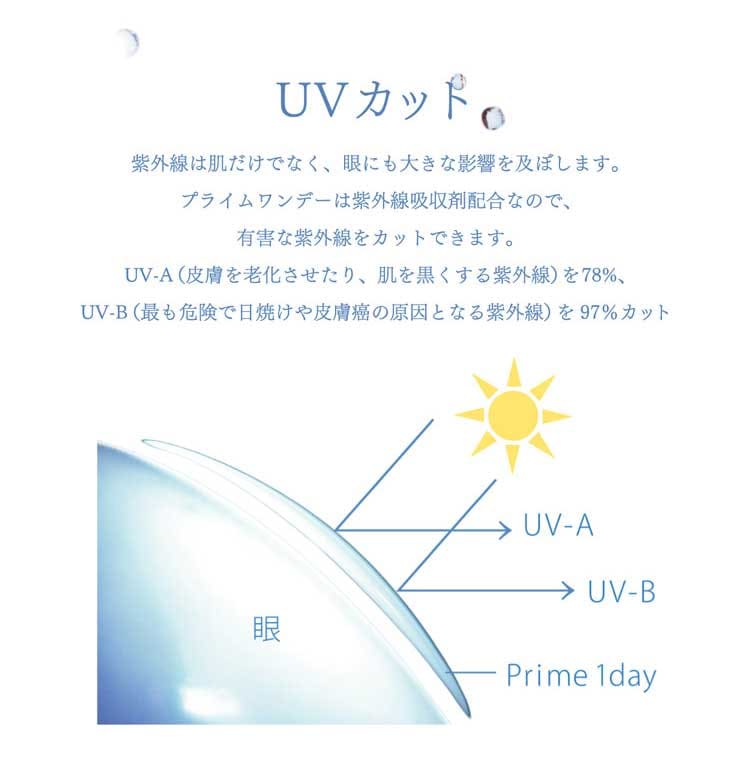 プライムワンデー100枚商品説明