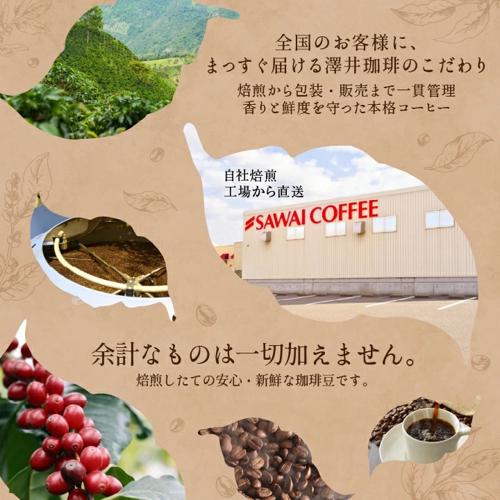 自社焙煎 工場直送 品質管理 新鮮