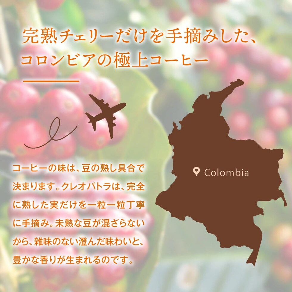コロンビア 完熟チェリー 手摘み 極上コーヒー