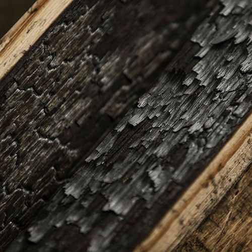 アリゲーターチャー