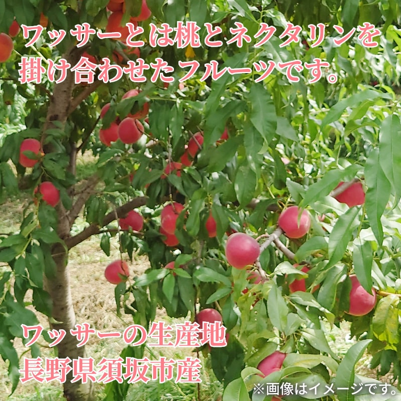 画像2