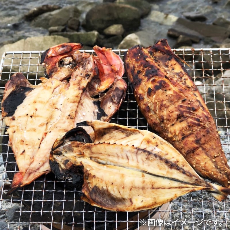 画像4