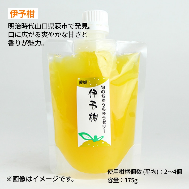 画像4