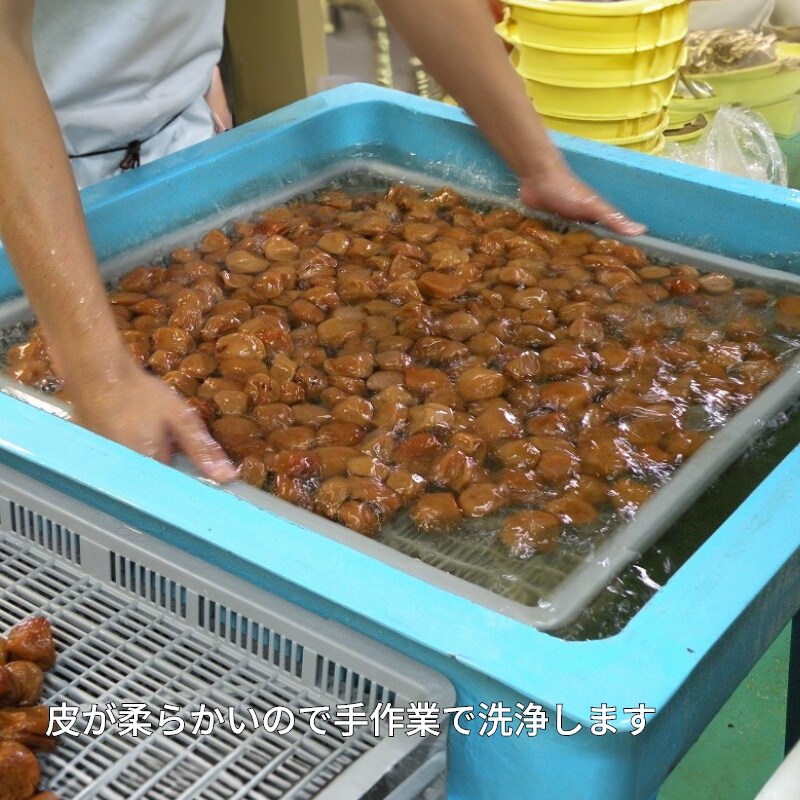 画像6