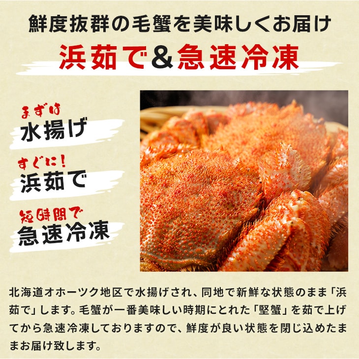 年内発送可♪北海道産極上毛蟹500g×2匹！蟹味噌と身入り良し！タラバガニ-