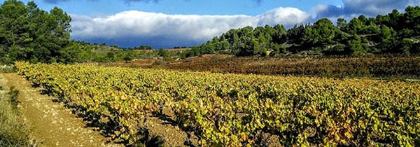 ガストン シャルパンティエ キュヴェ プレステージ 750ml フランス 白ワイン