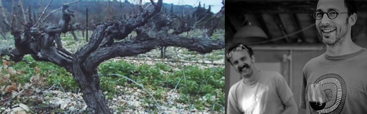 シャトミット 2020 アレクサンドルダレ家 自然派 ビオロジック エコセール認証 ヴァン ナチュール 脱力系ナチュラルワイン フランス プロヴァンス