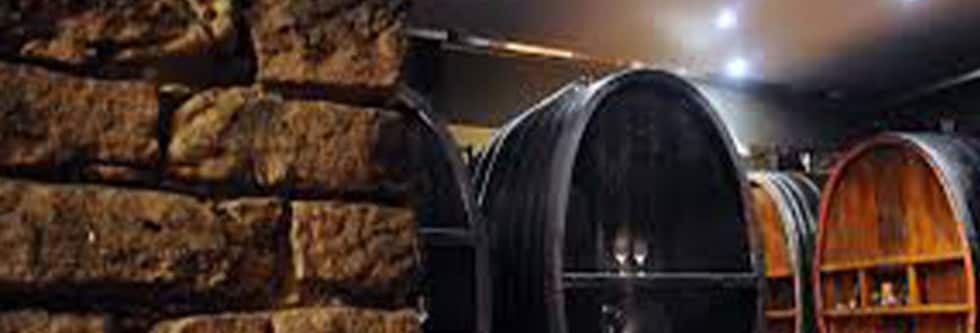 アルザス コンプランタシオン ナチュール 2020年 蔵出し限定品 ドメーヌ マルセル ダイス元詰 750ml フランス 白ワイン