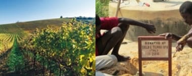 ビオビオ メルロー 2021年 チェーロ・エ・テッラ （赤ワイン・イタリア）