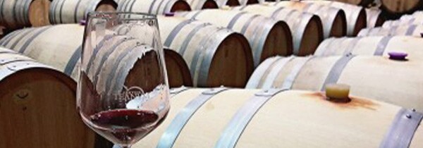 カステッリ ディ セヴェリーノ プーリア ロッソ 2020年 テアヌム社 イタリア 赤ワイン 正規品