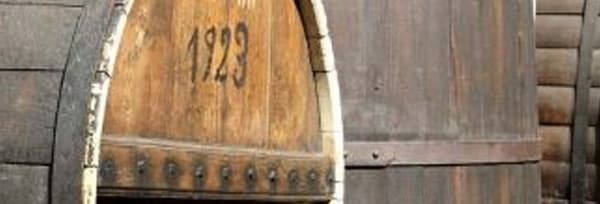サヴォワ アプルモン キュヴェ・ガストロノミー 2022年 ドメーヌ・ジャン・ペリエ・エ・フィス 750ml （フランス サヴォワ 白ワイン）