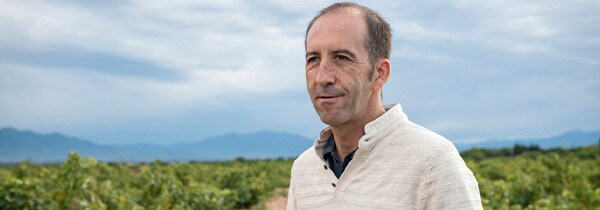 バルタザール グラシアン オールドヴァイン エル ヘロエ 2019年 ボデガス サン アレハンドロ 750ml スペイン 赤ワイン