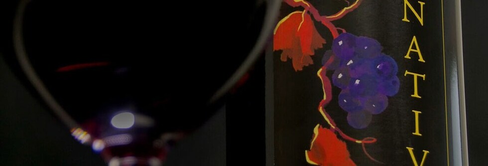 ナティバ カルメネール ナチュラルホワイト 2020 ナティヴァ エステーツ チリ セントラル ヴァレー 限定品 白ワイン 辛口 750ml 666均
