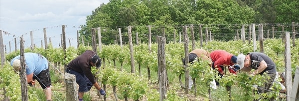 アダージョ デ ゼサール ブラン 2021年 750ml  シャトー デ ゼサール元詰 フランス 赤ワイン