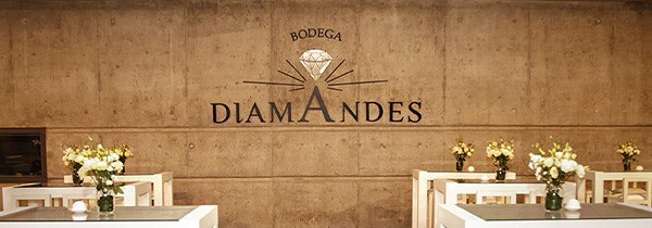 デディアマンデス ペルリータ 2019 ディアマンデス社 赤ワイン アルゼンチンワイン フルボディ 重口 赤 14.5％ マルベック種80%＆シラー種20%