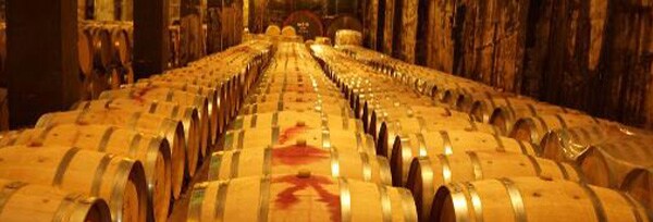 登美 白 2018年 特別醸造蔵出し限定品 シャルドネ100％ 日本 白ワイン