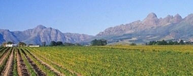 ウガバ 2019 W.O.ステレンボッシュ アンウィルカ ヴィンヤード元詰 750ml 南アフリカ フルボディ 辛口 赤ワイン セカンドワイン