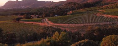 ウガバ 2019 W.O.ステレンボッシュ アンウィルカ ヴィンヤード元詰 750ml 南アフリカ フルボディ 辛口 赤ワイン セカンドワイン