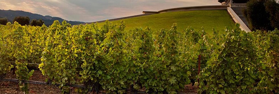 オーパス ワン 2019 ロバート モンダヴィ＆バロン フィリピーヌ ド ロートシルト ワインアドヴォケイト 97-99点 赤ワイン アメリカワイン