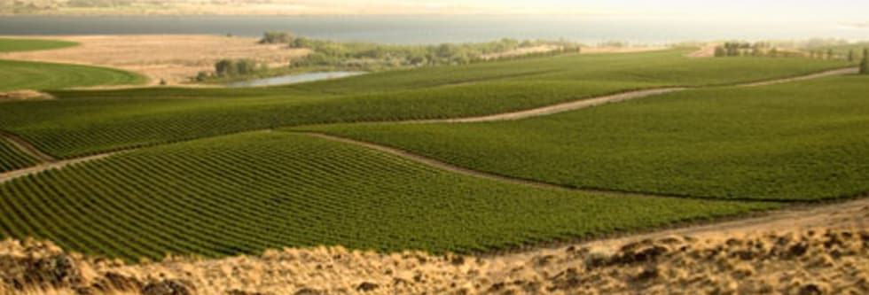 エロイカ リースリング アイスワイン 2014年 パーカー満点5つ星のドクター ローゼン＆ワシントンの代表的生産者のシャトー サン ミッシェルのジョイントワイン
