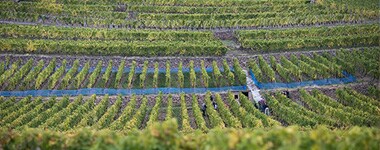ベストハイム クレマン ダルザス ブリュット プレミアム NV 高級シャンパン二次発酵方式 ベストハイム ジャパン ワイン チャレンジ2021プラチナ