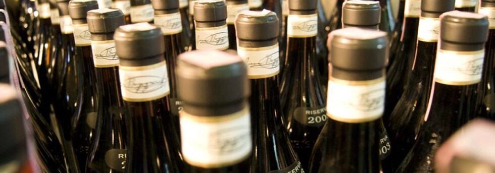 ランゲ ネッビオーロ 2017年 DOCランゲ ネッビオーロ ボルゴーニョ社元詰 正規品 750ml イタリア 赤ワイン ミディアムボディ