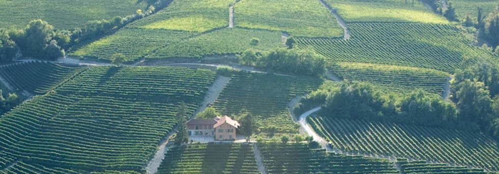 ランゲ ネッビオーロ 2017年 DOCランゲ ネッビオーロ ボルゴーニョ社元詰 正規品 750ml イタリア 赤ワイン ミディアムボディ