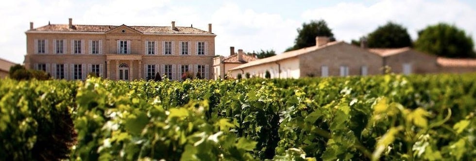 シャトー ブラネール デュクリュ 2013年メドック グラン クリュ クラッセ 公式格付第四級 AOCサン ジュリアン ボルドー 赤ワイン
