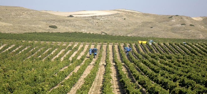 オルキデア 2021年 ボデガ・イヌリエータ 750ml （スペイン 白ワイン）