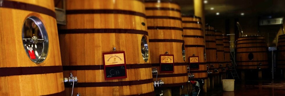 ドメーヌ・ド・シュヴァリエ ブラン 2014年 750ml グラーヴ格付 （フランス ボルドー ペサック・レオニャン 白ワイン）