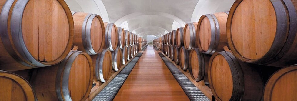 グレコ・ディ・トゥーフォ 2022年 フェウディ・ディ・サン・グレゴリオ 750ml 正規 （イタリア 白ワイン）