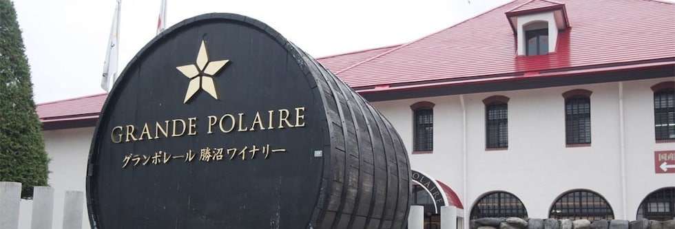 グランポレール 岡山マスカット・オブ・アレキサンドリア(薫るブラン) 2020年 750ml （日本 白ワイン 日本ワイン）