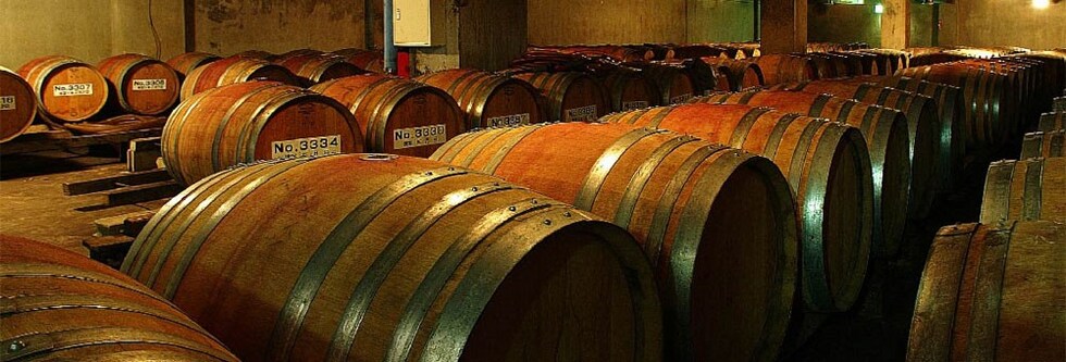 ソラリス 信州 千曲川産 メルロー 2021年 マンズワイン 750ml （日本 赤ワイン）