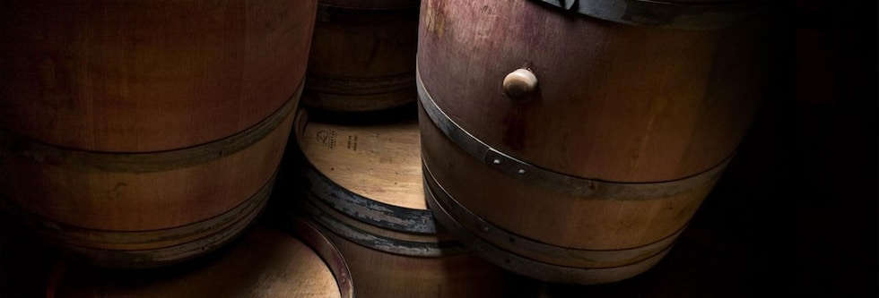 スタッグス リープ ワイン セラーズ ハンズ オブ タイム レッド ブレンド 2019 正規品 ナパ ヴァレー カリフォルニア 赤 辛口