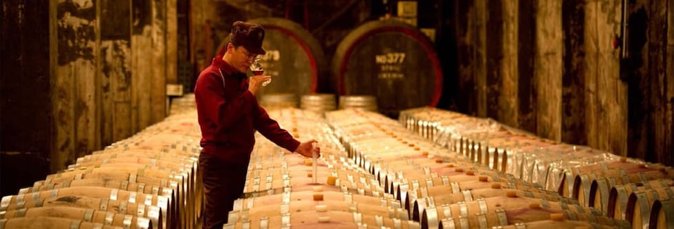 登美の丘 赤 2017年 サントリー登美の丘ワイナリー 750ml （日本ワイン 山梨県 赤ワイン）